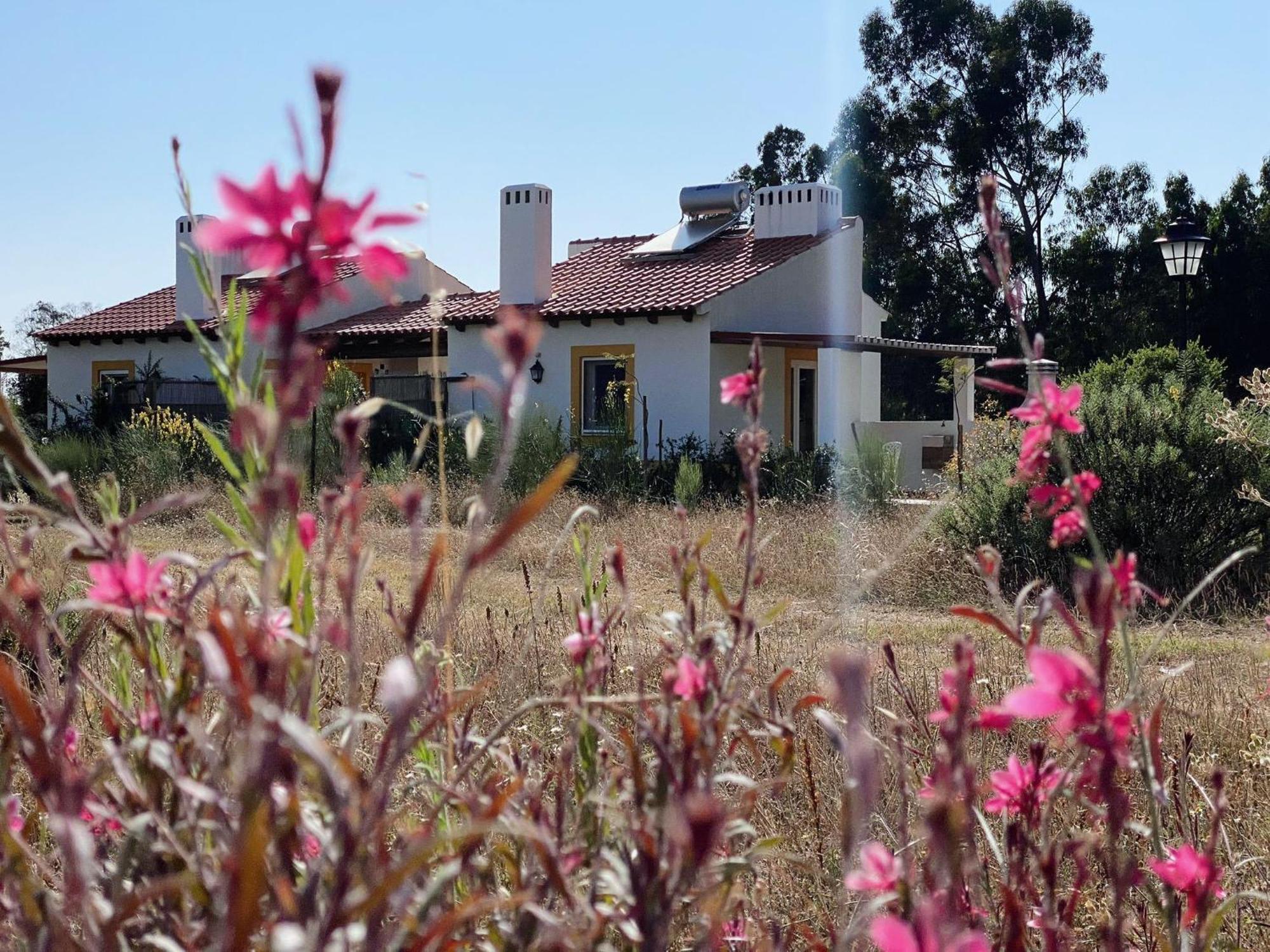 Monte Dos Cachoupos Villa São Luis Dış mekan fotoğraf